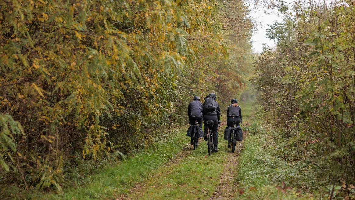 Contec Gepäcklösungen mit Ortlieb Quick-Rack + Mudguard
