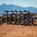 Mondraker Arid Carbon 2025