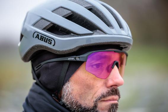 Abus WingBack