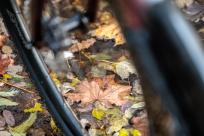 Schwalbe G-ONE R Pro Line 2025