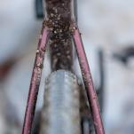 Schwalbe G-ONE R Pro Line 2025