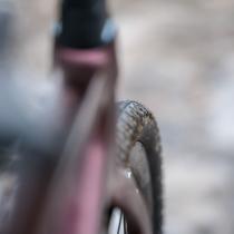 Schwalbe G-ONE R Pro Line 2025