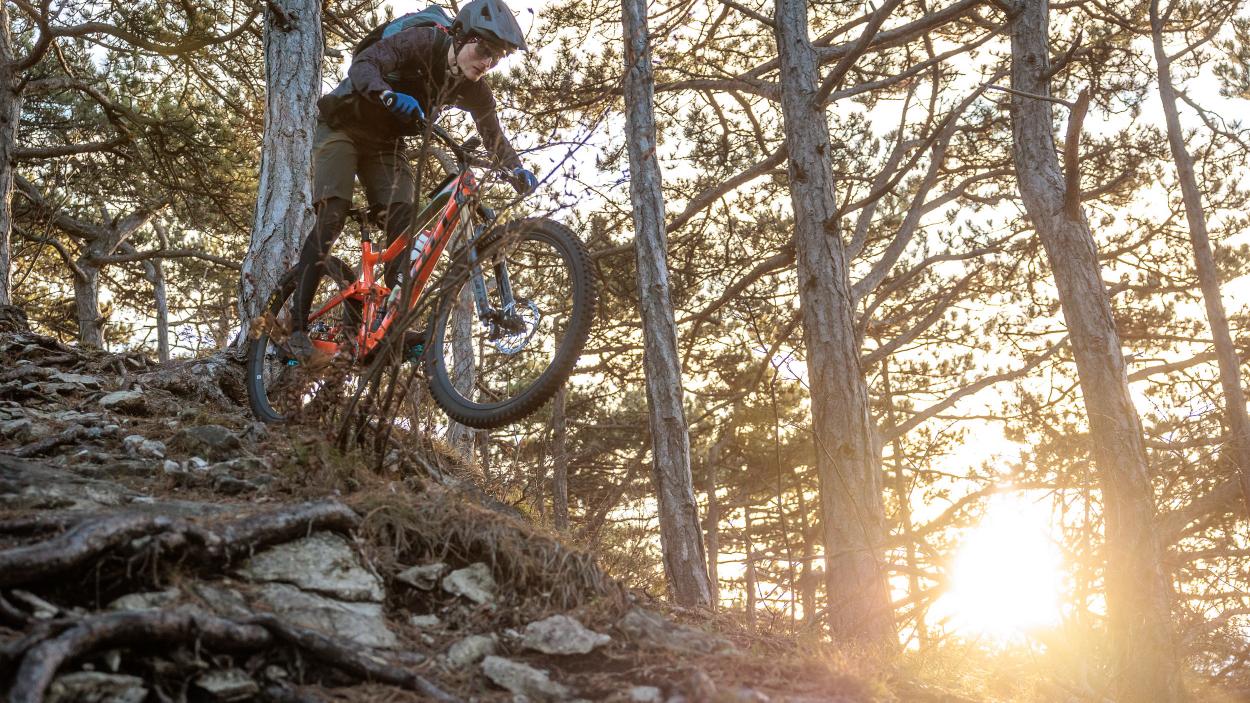 Tatze Contact DH und Contact Combi im Test
