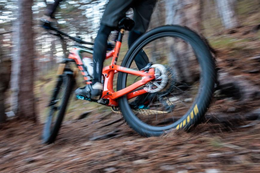 Tatze Contact DH und Contact Combi im Test