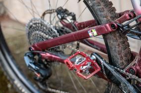 Tatze Contact DH und Contact Combi im Test