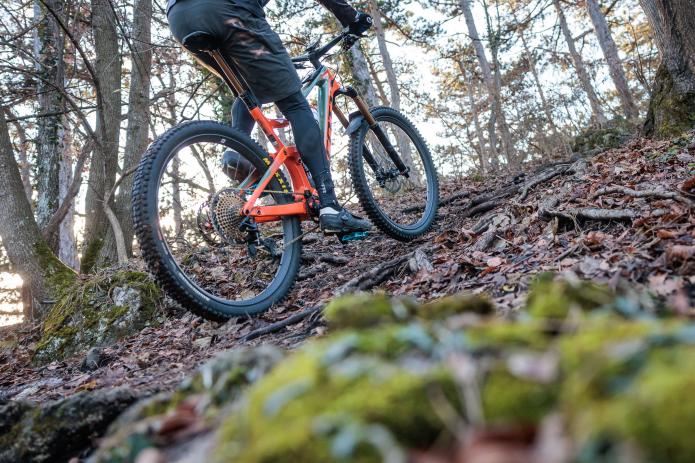 Tatze Contact DH und Contact Combi im Test