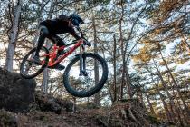 Tatze Contact DH und Contact Combi im Test