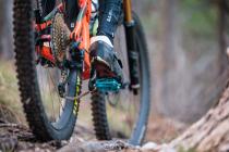 Tatze Contact DH und Contact Combi im Test