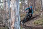 Tatze Contact DH und Contact Combi im Test