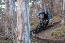 Tatze Contact DH und Contact Combi im Test