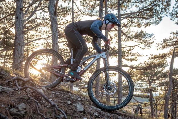 Tatze Contact DH und Contact Combi im Test