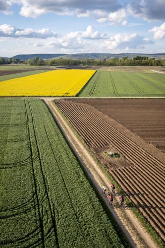 NoSane's Fotorückblick 2024