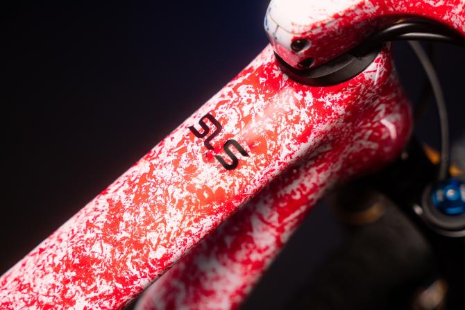 Custom BH Lynx SLS