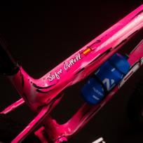 Custom BH Lynx SLS