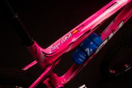 Custom BH Lynx SLS