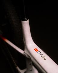 Custom BH Lynx SLS