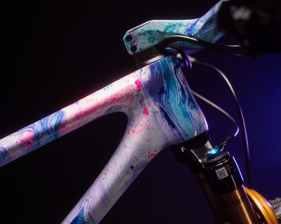 Custom BH Lynx SLS