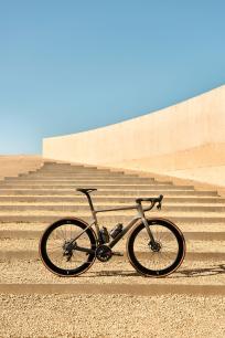 Rose Xlite 06 2025