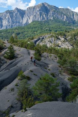 Trans Provence