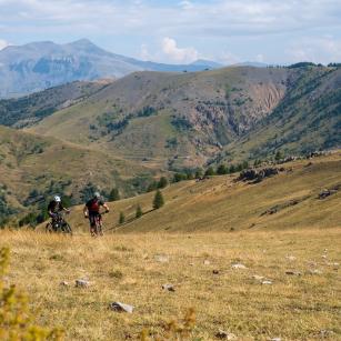 Trans Provence
