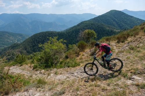 Trans Provence