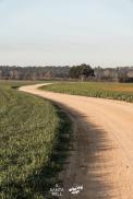 Endstation Schotter: Santa Vall Gravel Race 2025