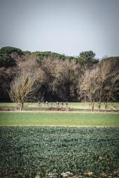 Endstation Schotter: Santa Vall Gravel Race 2025