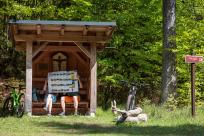 Wanted: Nationale MTB-Koordination