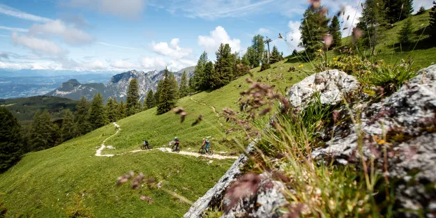 Wanted: Nationale MTB-Koordination Wanted: Nationale MTB-Koordination