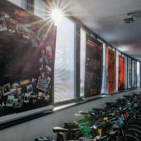 KTM Fahrrad im Interview: "Bikes sind unsere DNA und Zukunft"