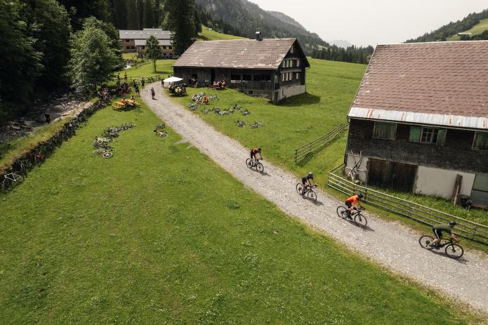 Vorschau: Into The Wold 2025
