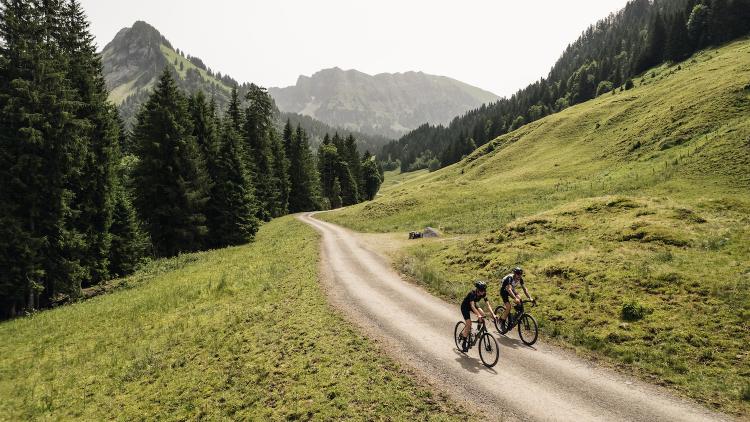 Vorschau: Into The Wold 2025