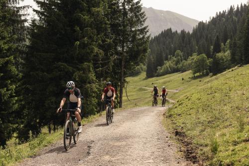 Vorschau: Into The Wold 2025