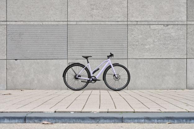 Update: Rose Sneak Plus EQ 2025