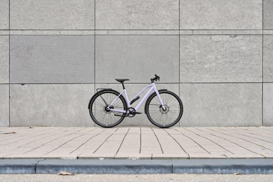 Update: Rose Sneak Plus EQ 2025