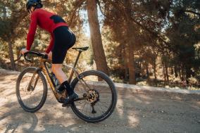 Orbea Denna