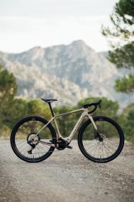 Orbea Denna