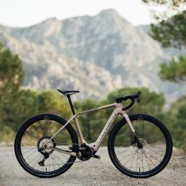 Orbea Denna
