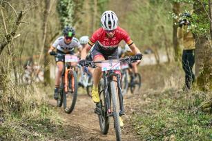 Vorschau: 33. KTM Kamptal Trophy