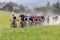 Vorschau Alpentour 2025