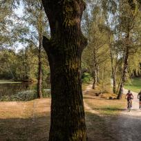 Neue Radweg-Beschilderung im Wald- und Weinviertel