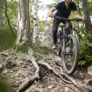 Anninger Trails Community Tag