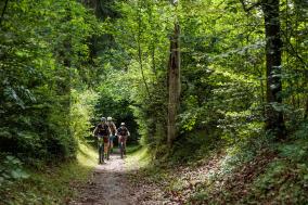 fürs Mountainbiken auch ausreichend breite Wege im Wald.