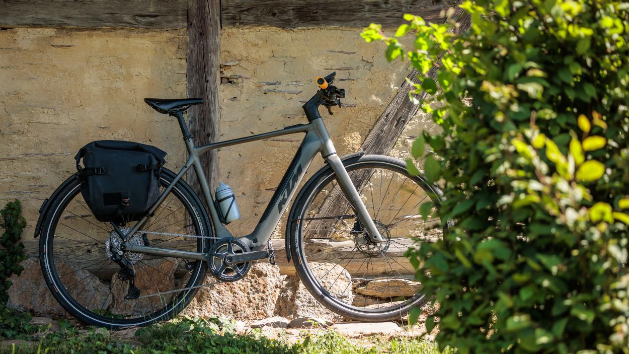 Tatze Contact DH und Contact Combi im Test
