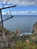 Teneriffa - eine Reise wert