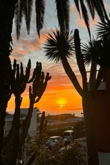 Teneriffa - eine Reise wert