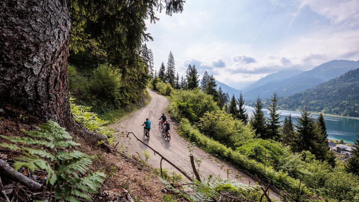 Trail- und Tourenbiken am Weissensee