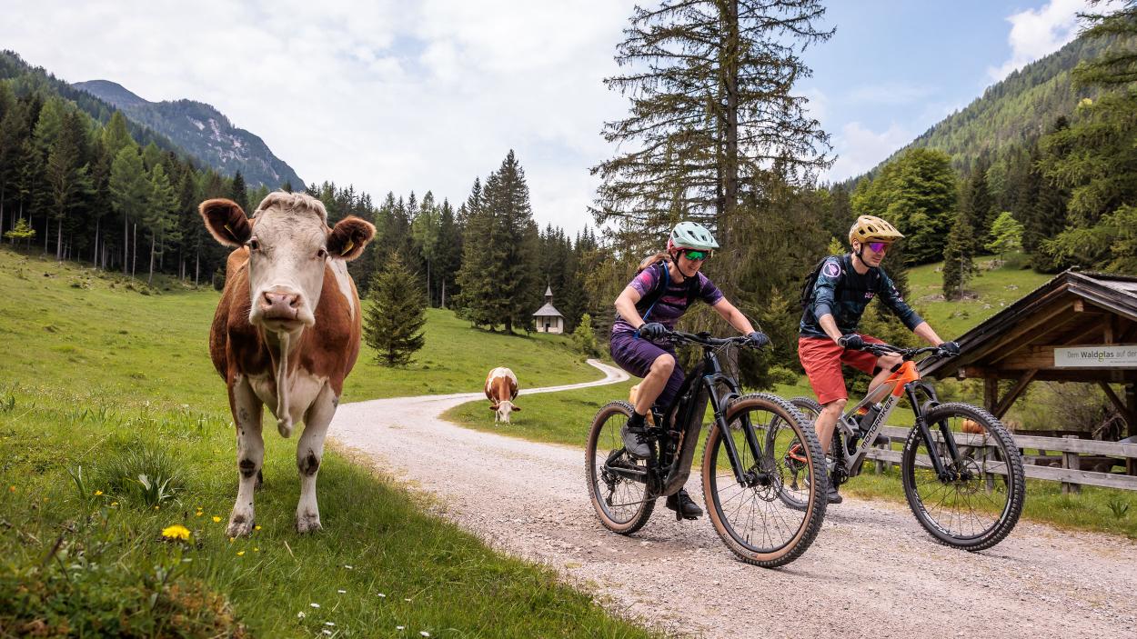 Trail- und Tourenbiken am Weissensee