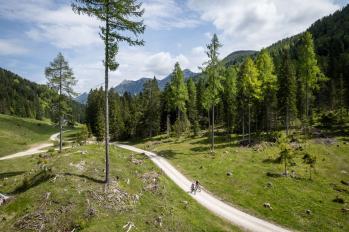 Trail- und Tourenbiken am Weissensee