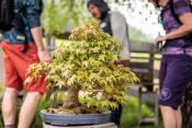Trail- und Tourenbiken am Weissensee